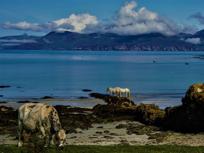 PHOTOGRAPHY CRUISE – Small Isles